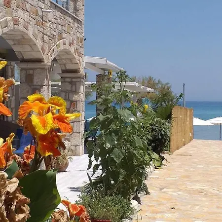 아파트호텔 Golden Dolphin & 3*