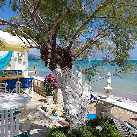 Golden Dolphin & Aparthotel 3*