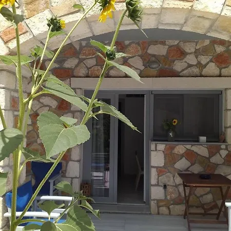 Golden Dolphin & Hotel apartamentowy 3*